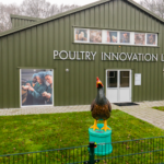 The Poultry Expertise Center visits Copeeks