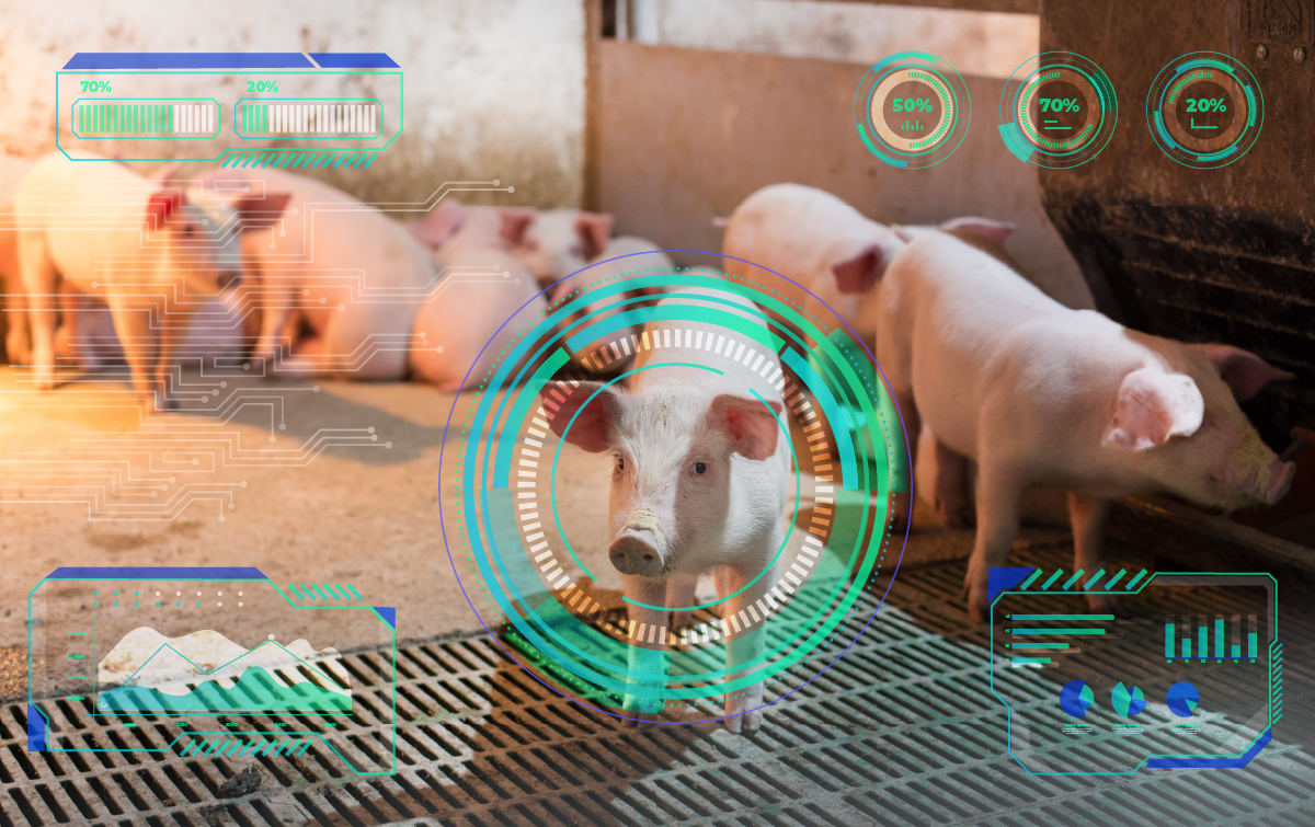 Read more about the article PEEK Eleveur : Comment le numérique améliore la productivité et la rentabilité des élevages