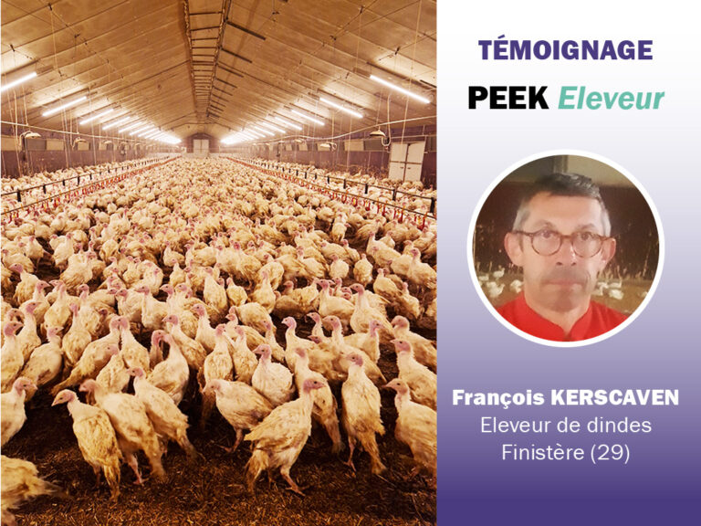 Read more about the article Témoignage client : La solution PEEK Eleveur déployée en élevage de volailles